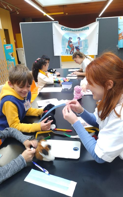 Mesure d'un nounours